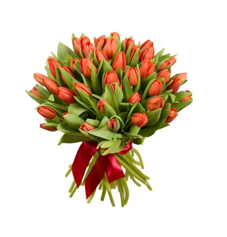 [:lt]Raudonos tulpės [:ru]Красные тюльпаны[:]